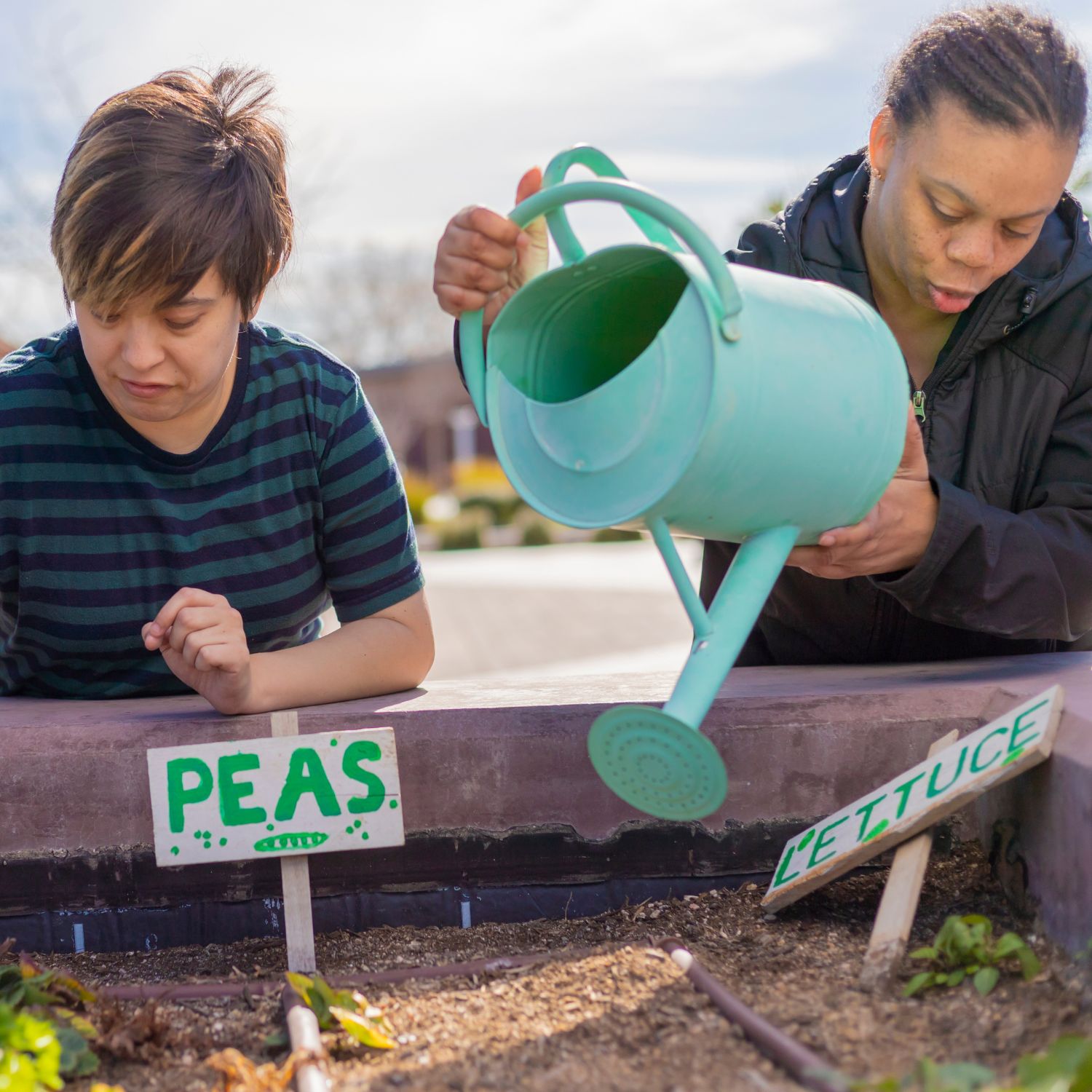 Gardening Club